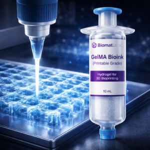 GelMA Bioink (Printable Grade), 10 mL